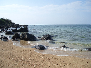 海況を見に