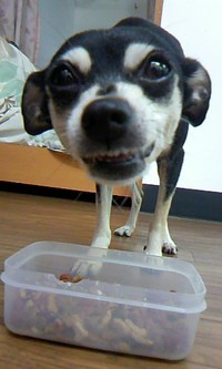 美味しい朝ごはん！ 2015/10/06 05:46:38