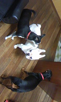 お友達 2015/11/13 12:22:34