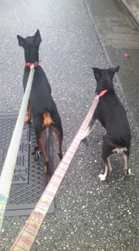 只今 2016/06/13 09:06:52