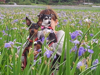 今日は！ 2014/04/15 20:18:47
