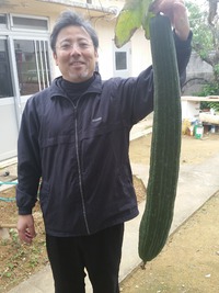 新年そうそう・・ 2015/01/08 21:46:31