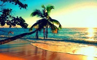 夏！！