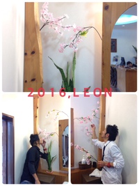 桜 2016/01/13 10:58:59