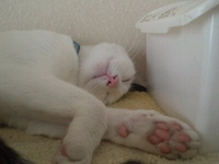 こんな時間。 2013/03/23 05:21:41