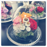 2015年12月31日
