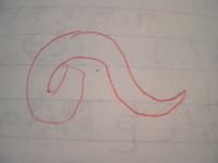 一筆書き 2007/02/12 19:58:25