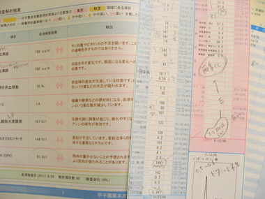 栄養解析の結果足りないサプリメントがわかる血液検査