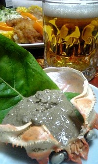 正月休み７ 2008/01/01 21:44:20