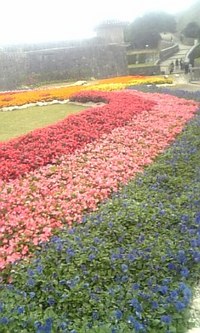 首里城花まつり 2008/02/10 20:23:21