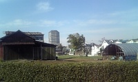 都会ならではな風景 2008/03/04 08:41:23