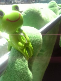 ひなたぼっこ 2008/03/07 12:05:29