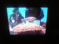 故郷の海。 2008/03/23 08:59:08