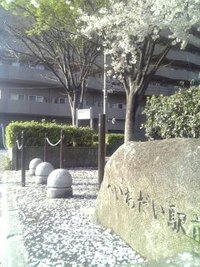 ご無沙汰ブログ 2008/04/14 17:07:09
