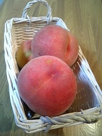 よいスタート。 2008/08/01 20:07:27