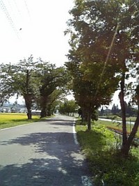 私の夏休み11 2008/09/18 15:56:29