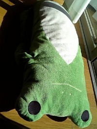 ひなたぼっこ。 2008/10/21 11:32:06