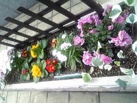 通勤路。 2008/10/27 12:04:50