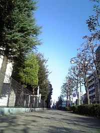 晴れのち晴れ。 2008/11/01 08:27:14