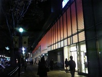 知らぬまに・・・。 2008/11/12 08:23:38