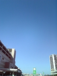 今日ならよかった。 2008/11/13 11:59:49