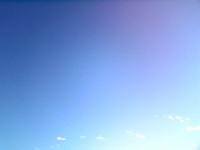 忘れられない日。 2008/12/26 14:29:16