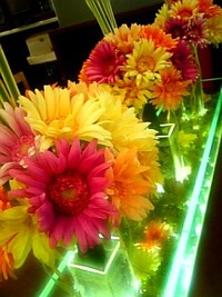 感謝感激。 2009/06/03 20:04:31