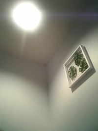 平日休み。 2010/04/09 16:56:55