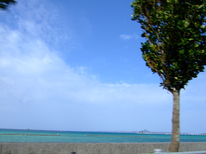 昨日の沖縄の海