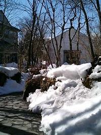 一面の雪です 2008/03/05 11:06:15