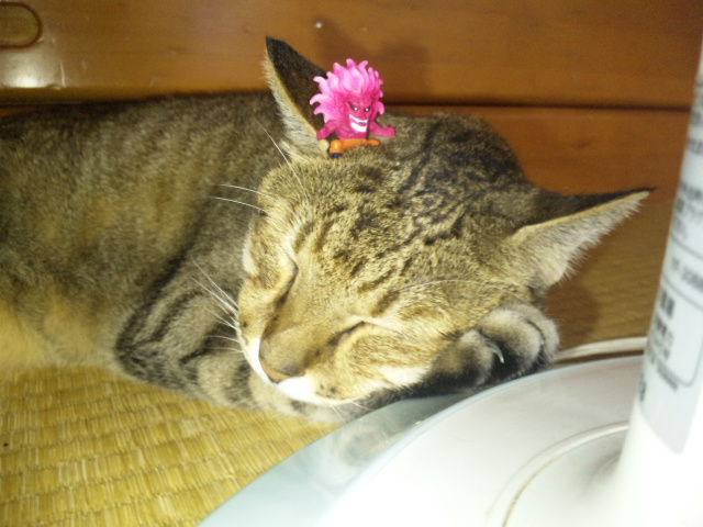 ハートじゃが