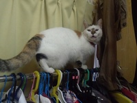 だして〜 2012/12/02 09:17:34