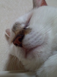 台風は 2012/08/01 22:18:08