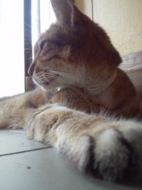 11号発生 2012/08/03 18:08:36