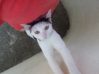 お中元。 2012/08/19 06:47:49