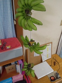 バナナん 2012/09/02 23:55:08