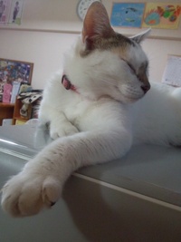 ３年記念日 2012/10/02 20:22:29