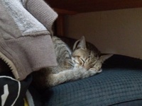 11月。 2012/11/01 19:35:57