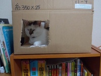 明日も頑張ろぅ 2012/11/03 19:49:26