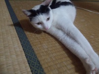 ありがとう。 2012/07/19 19:45:53