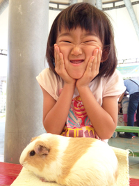 さよならキャンディちゃん 2015/09/08 17:03:04