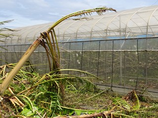 まさか、まさか、まさかの