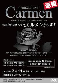 2019.2.11(月)オペラ「カルメン」 2018/08/11 10:04:14