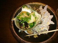ブログデビューです。