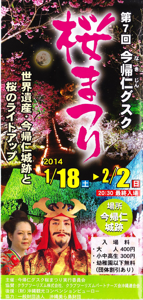 今帰仁グスク桜まつり 始まりました 今帰仁グスクに登ってみれば