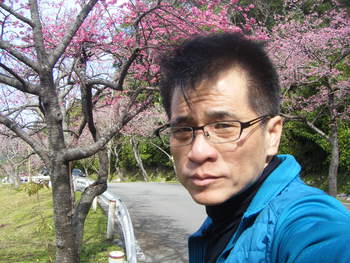 本部町の八重岳に家族で日本１咲くのが早いヒカン桜を見てきました。