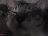 2013年03月08日
