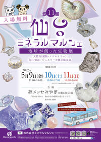 きゅんきらフェスin仙台ミネラルマルシェ　2日目です＾＾