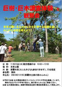 「巨樹巨木調査体験と観察会」イベントのお知らせ 2016/11/14 11:33:57
