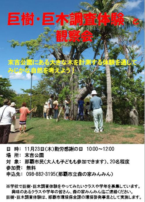 「巨樹巨木調査体験と観察会」イベントのお知らせ